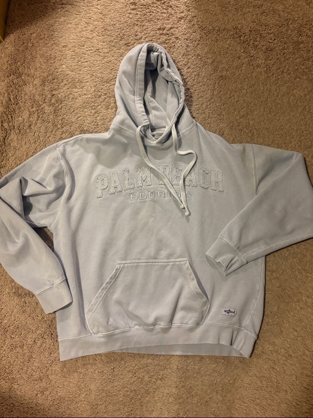 Palm Beach Florida icy blue Hooded Sweatshirt